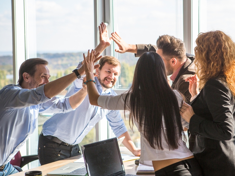 Team of people in an office slapping hands in excitement with windows and nature behind them