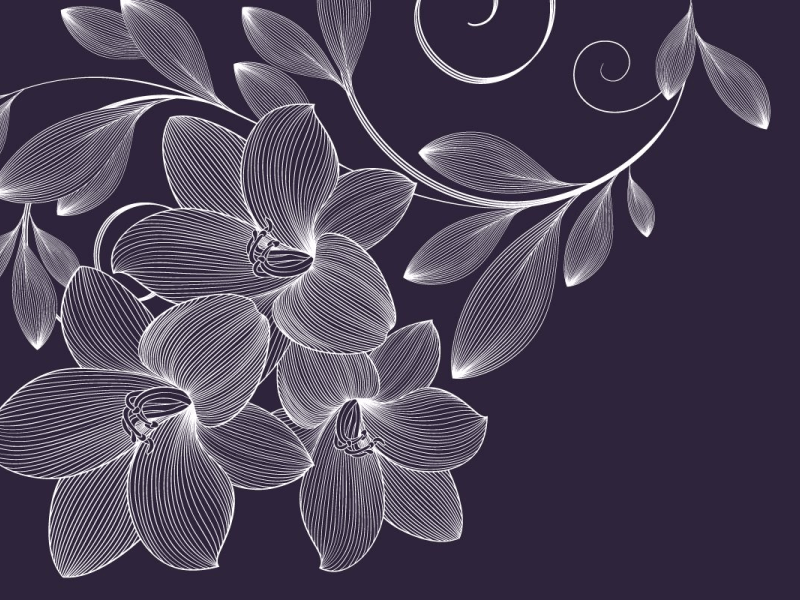A techy looking black and white vector of fresia flowers